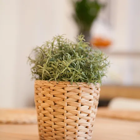 Apheartments Lägenhet *