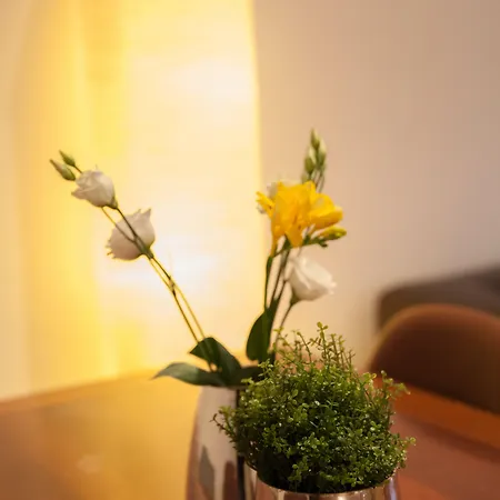 Appartement Apheartments