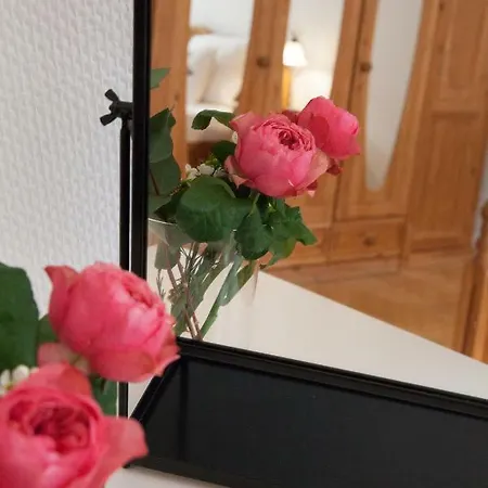 Apheartments Хайдельберг